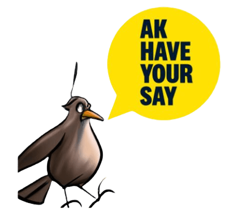 Invitation to submit feedback